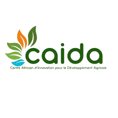 logo-caida
